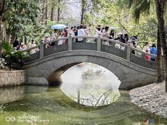 -人民公园(罗湖区)