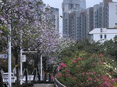 -小南山公园