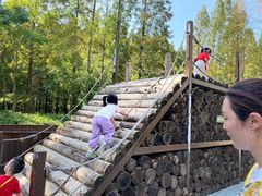 -黄海国家森林公园