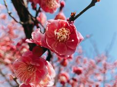 -天鹅湖体育公园