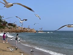 -银沙滩浴场