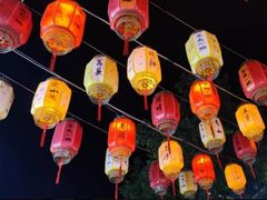 -渡海小渔村.老辈日照菜