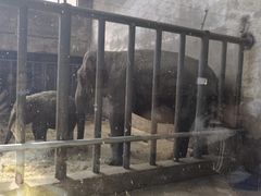 -石家庄市动物园