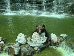 -北京野生动物园