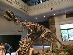 恐龙-自贡恐龙博物馆