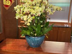 -蝶园·装修中(BFC外滩金融中心店)