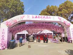 -南汇桃花村