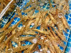 -三亚火车头万人海鲜广场