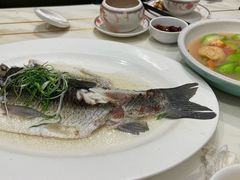 -稻香酒家·34年老字号·港式粤菜(侨光店)