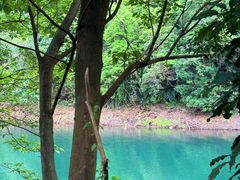 -鼎湖山风景区