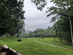 -田心森林公园
