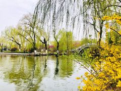 -济南大明湖景区