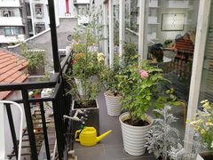 露天位-边渡咖啡烘焙店(昙华林店)
