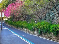 -杭州半山国家森林公园