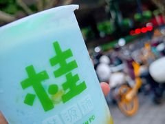 菠萝的海-桂桂茶(赤峰站店)