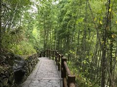 -溪口-滕头旅游景区