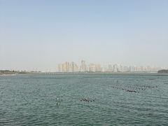 -金鸡湖景区
