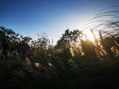 -上海山野camping·户外天幕烧烤·团建拓展营地