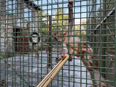-南京金牛湖风景区