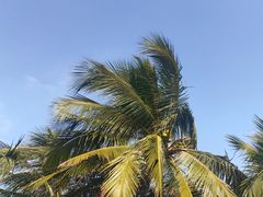 -西秀海滩公园