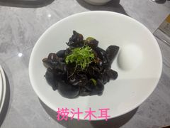 -老绍兴养和饭店(向阳不夜城店)