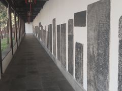 -苏州文庙(姑苏区)