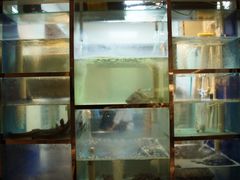 水产区-童福兴·南京菜(老门东店)