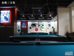 -丁俊晖台球俱乐部(海上海·弘基休闲广场店)