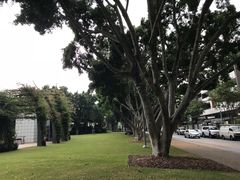 -布里斯班南岸公园