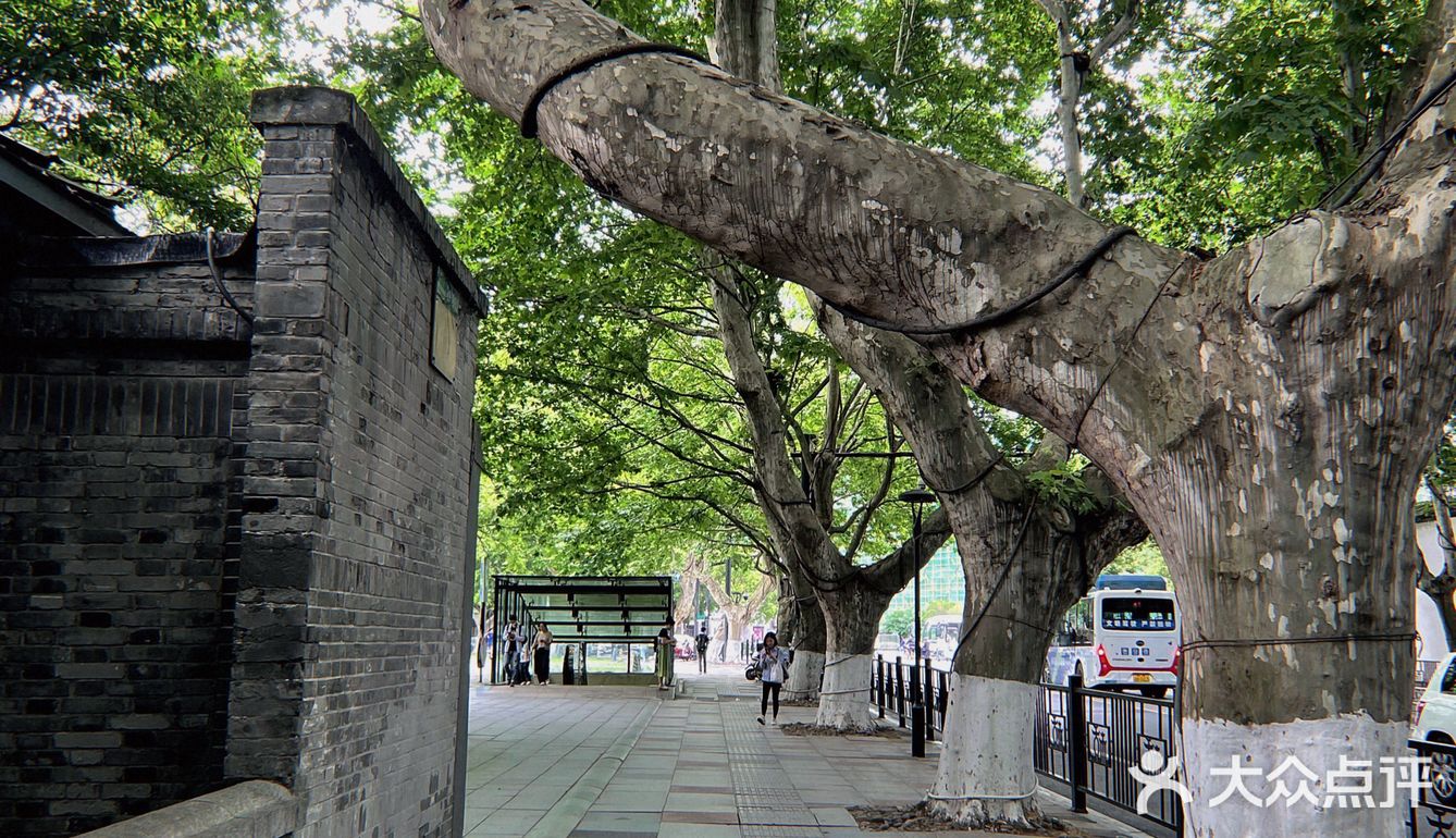 杭州|最美南山路