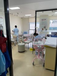 -明宇集团·积木枝芽母婴健康管理中心(天府店)