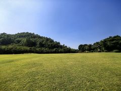-顺峰山公园