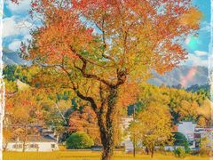 -塔川景区