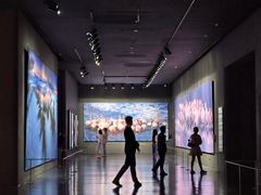 -罗红摄影艺术馆