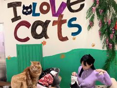 -藏猫猫咖啡主题馆(中央大道店)