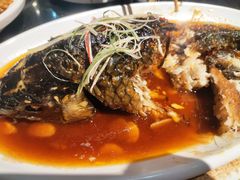 罾蹦鲤鱼-津菜宋记老房子(平山道店)