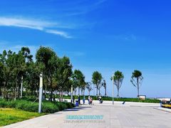 -天津东疆湾沙滩景区