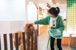 -Moni星球萌宠·小马宝莉·灵蛇·高端高阶全萌宠互动体验俱乐部(红豆国际广场店)
