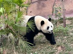 -乐和乐都主题乐园