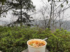 -铁山坪森林公园