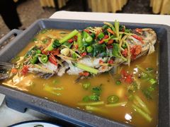 活渡花鲢-蜀江春(科华北路店)