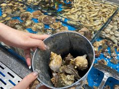 -半岛听涛蒸汽海鲜自助(K11店)