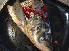 -销魂美蛙鱼头火锅(上海首店)