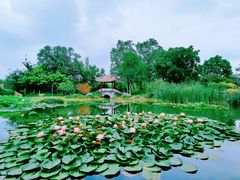 -北京园博大酒店