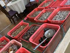 -南庄酒家·海鲜粤菜·25年老字号(环城南路店)