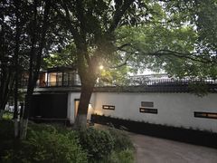 -日出青木