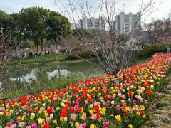 -圩墩遗址公园