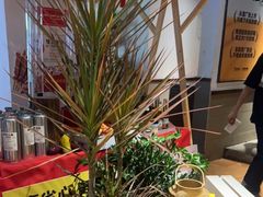 -木屋烧烤(南新店)