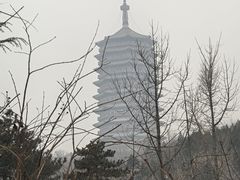 -北京园博大酒店