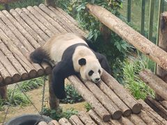 -大连森林动物园